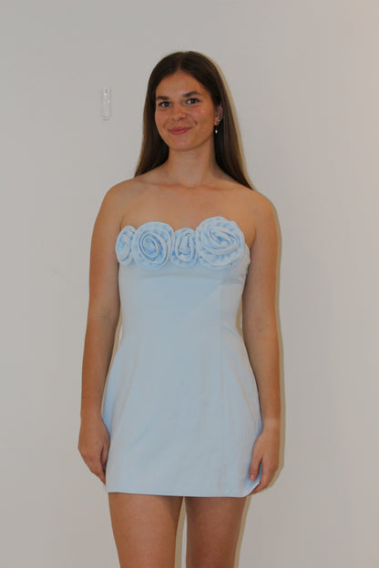 Patsie Strapless Mini Dress